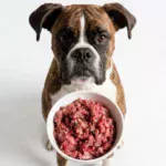 Opinión sobre Cru Barf de Ternera y Pollo