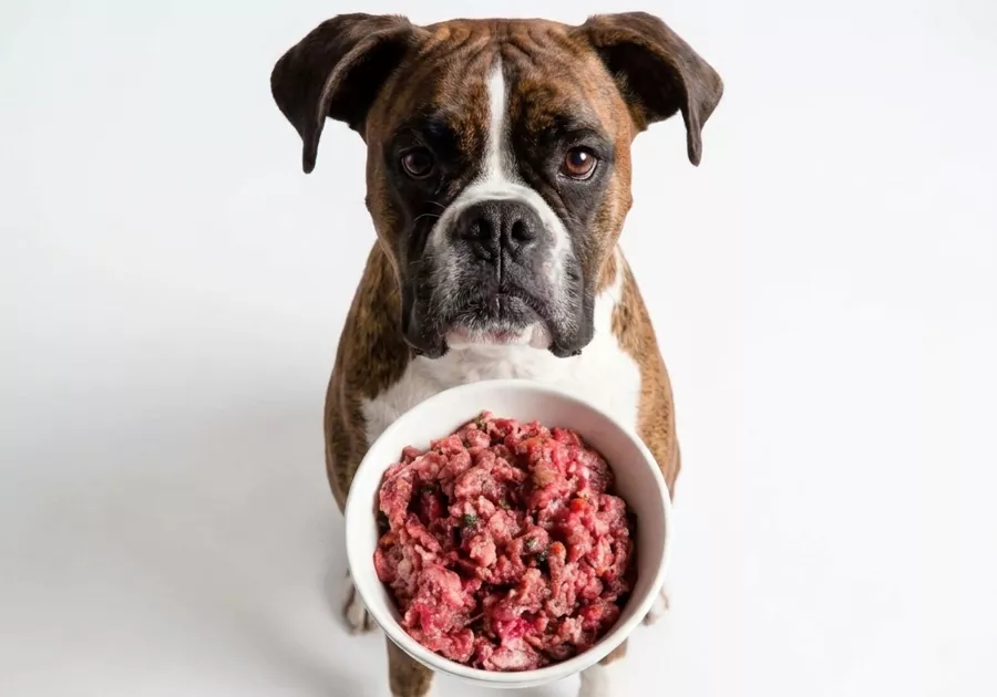 Opinión sobre Cru Barf de Ternera y Pollo