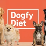 Dogfy Diet: Comida ligeramente cocinada ¿Es la mejor opción para tu perro?