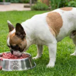 Menú de Pollo Cru Barf: Análisis nutricional completo