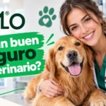Antes de contratar tu seguro MiLO deberías saber…..