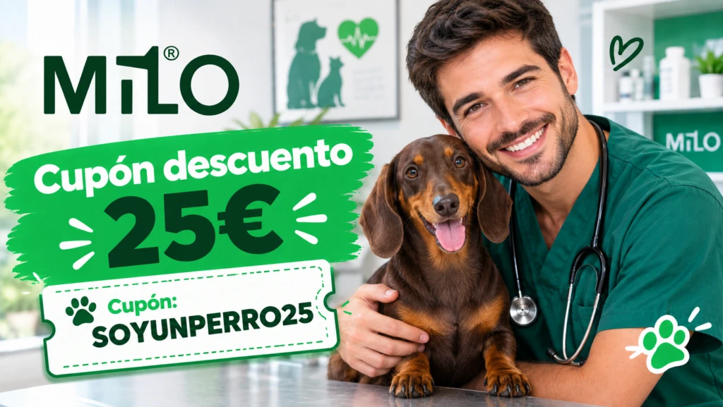 Todos los códigos descuento de Seguros MiLo